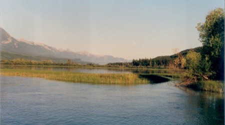 Columbia River Wetlands